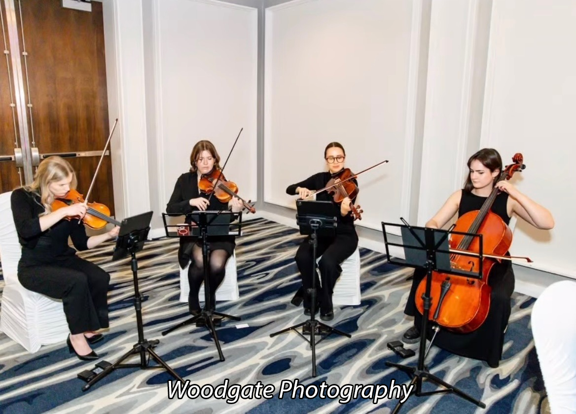 Vintera String Quartet performing at a private Ontario celebration. Photo credit: Woodgate Photography